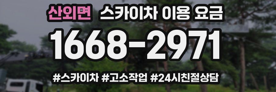 산외면 스카이차 이용 요금