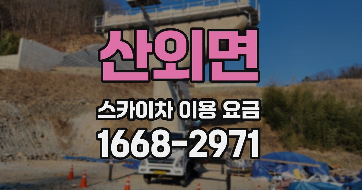 산외면 스카이차 이용 요금