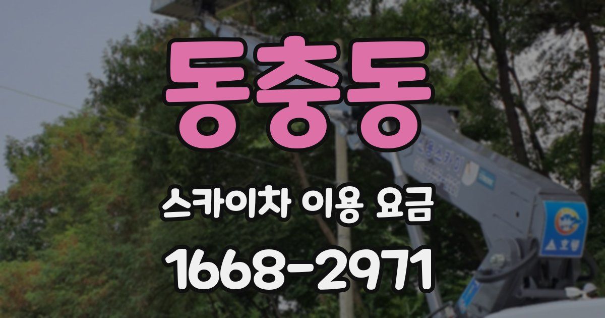 동충동 스카이차 이용 요금