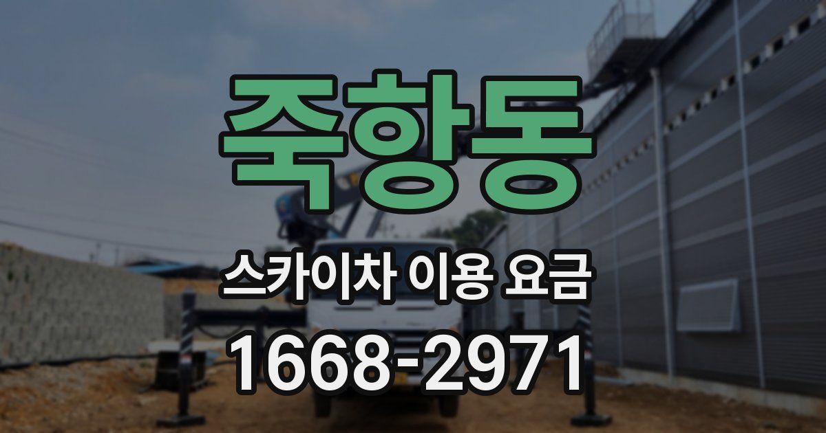 죽항동 스카이차 이용 요금