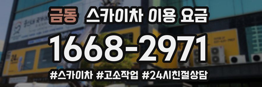 금동 스카이차 이용 요금