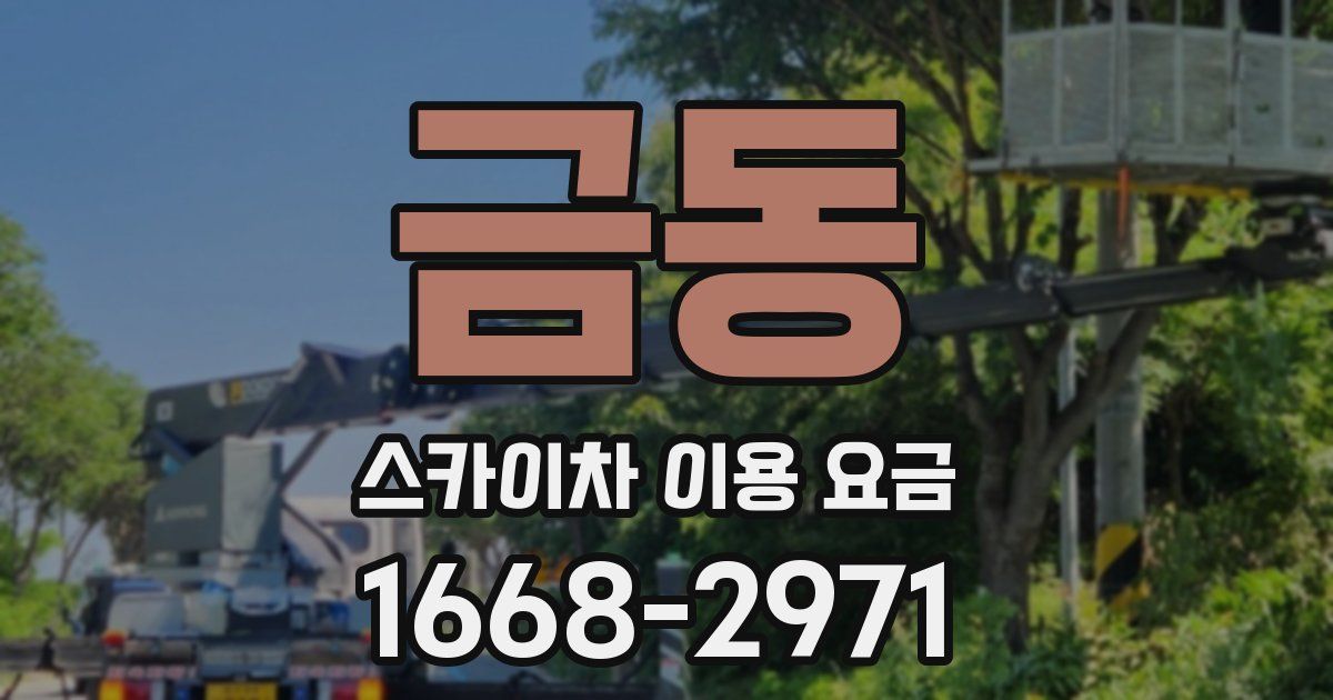 금동 스카이차 이용 요금