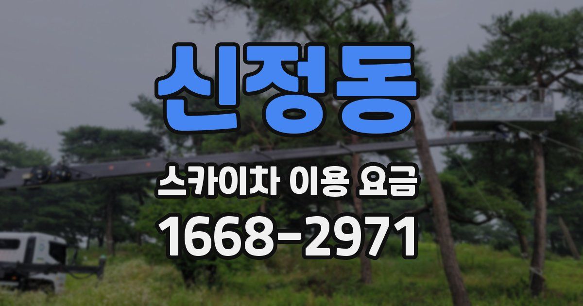 신정동 스카이차 이용 요금