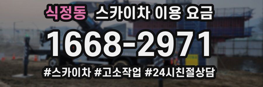 식정동 스카이차 이용 요금