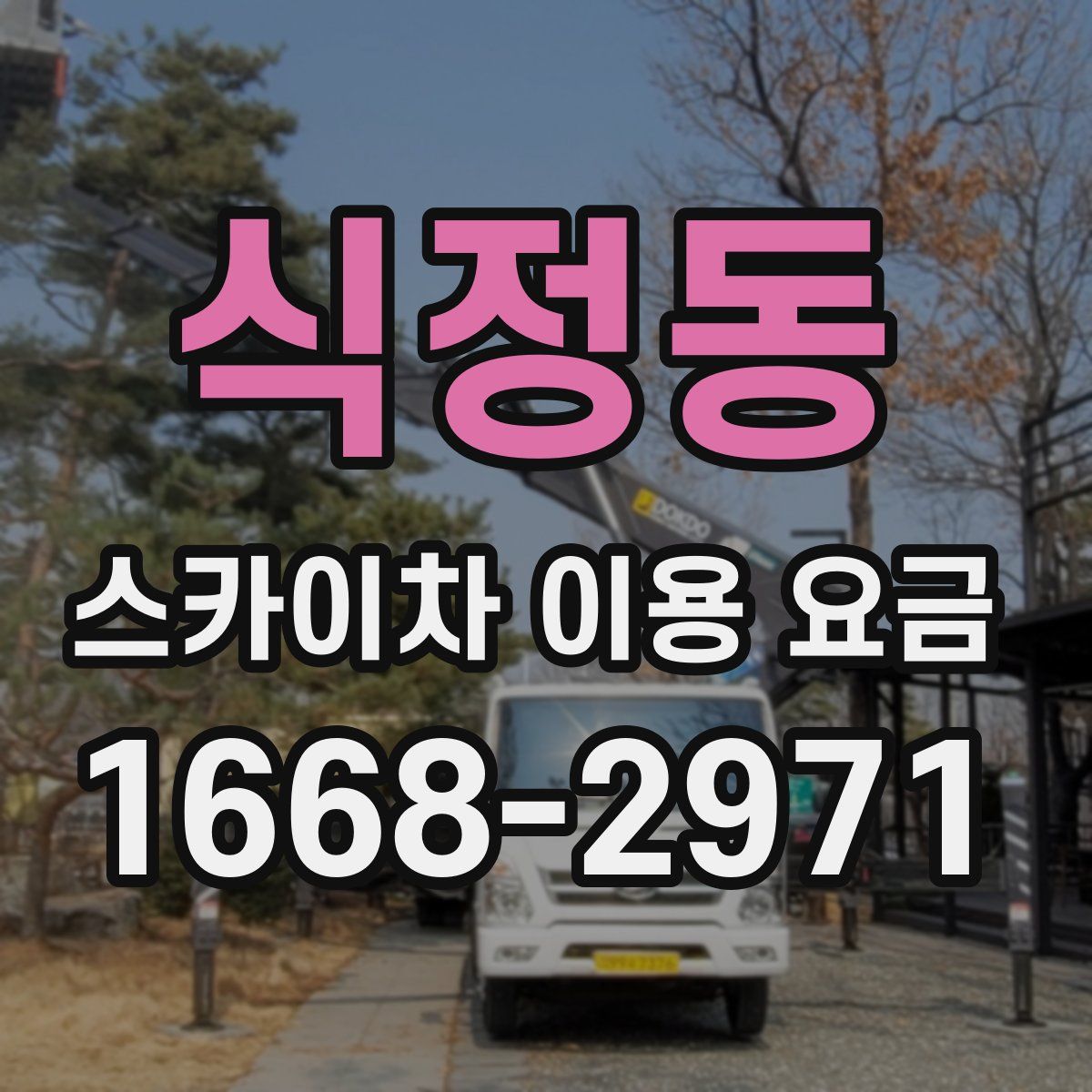 식정동 스카이차 이용 요금