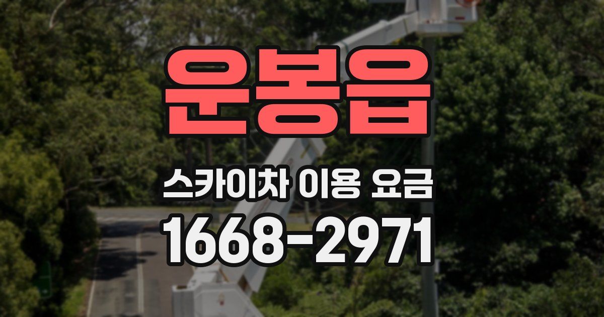 운봉읍 스카이차 이용 요금