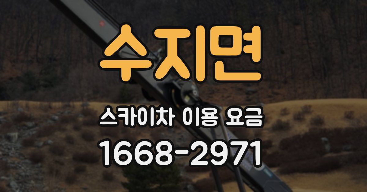 수지면 스카이차 이용 요금