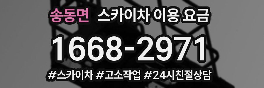 송동면 스카이차 이용 요금
