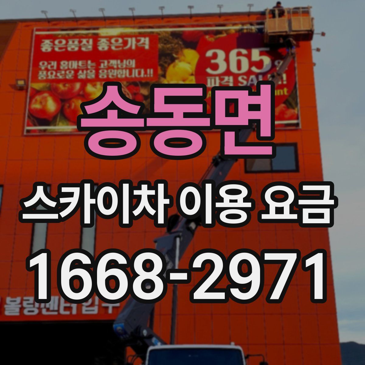 송동면 스카이차 이용 요금