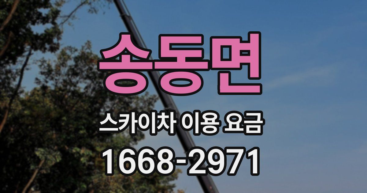 송동면 스카이차 이용 요금