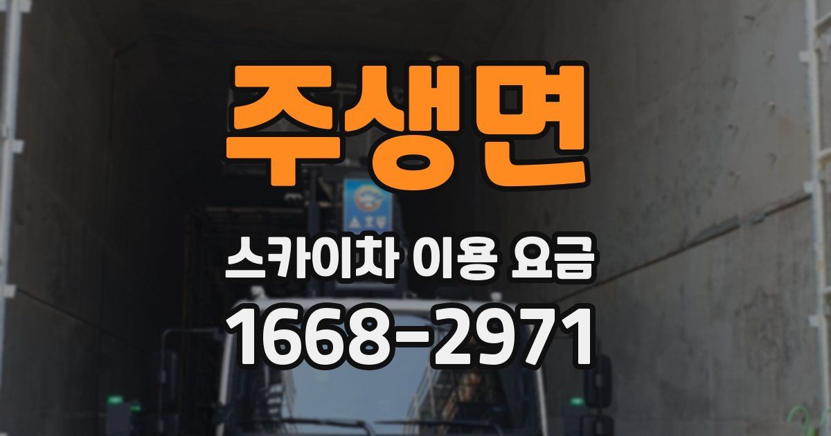 주생면 스카이차 이용 요금
