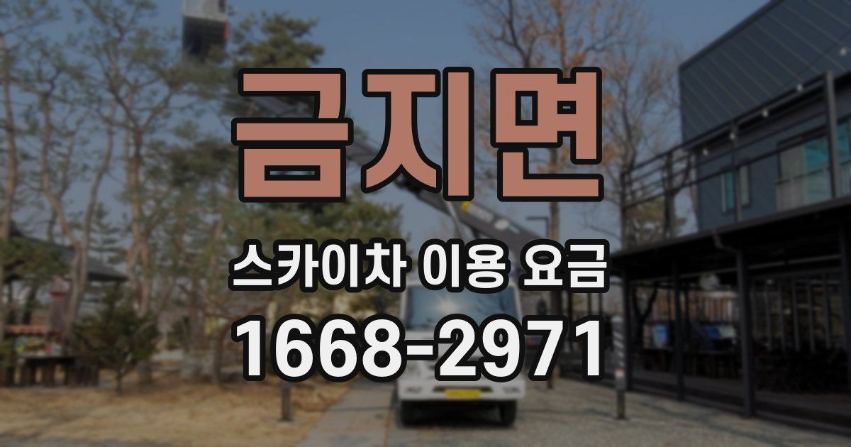 금지면 스카이차 이용 요금