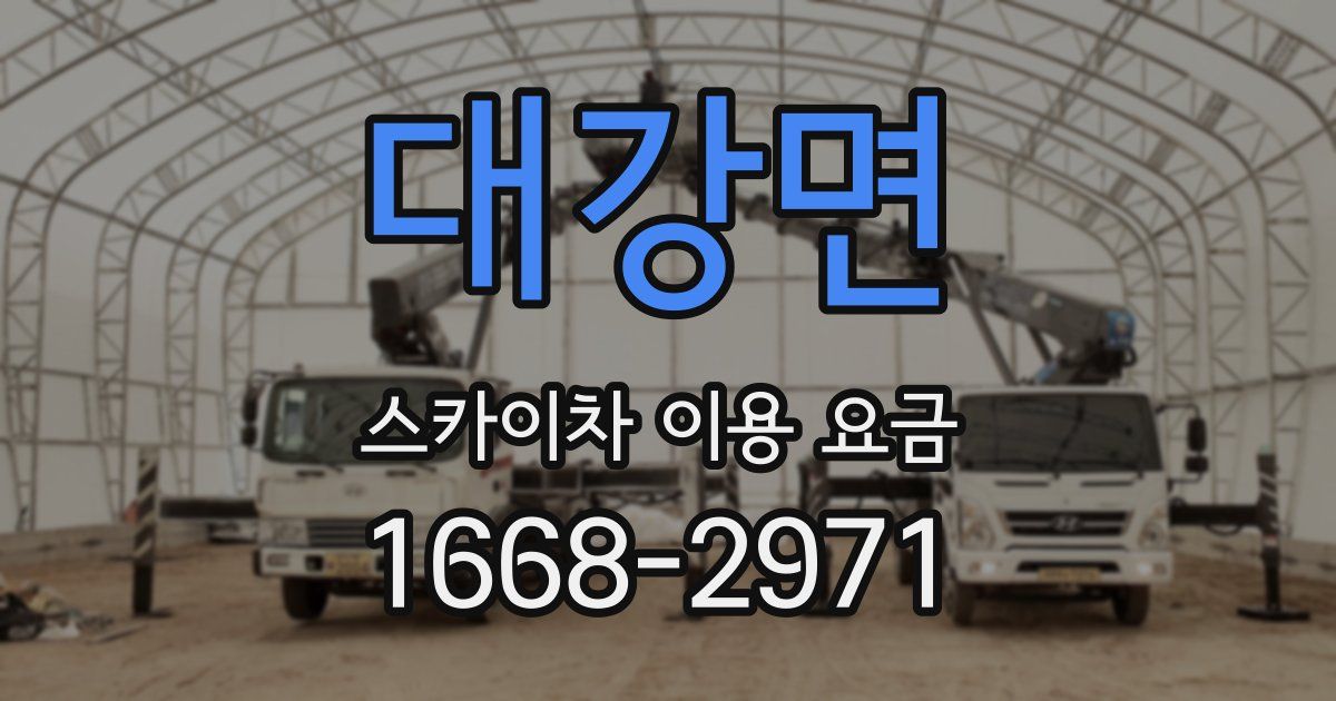 대강면 스카이차 이용 요금