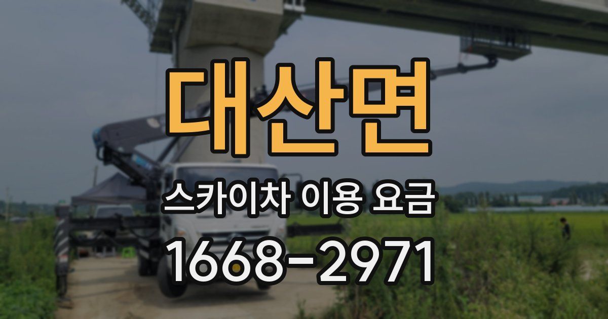 대산면 스카이차 이용 요금