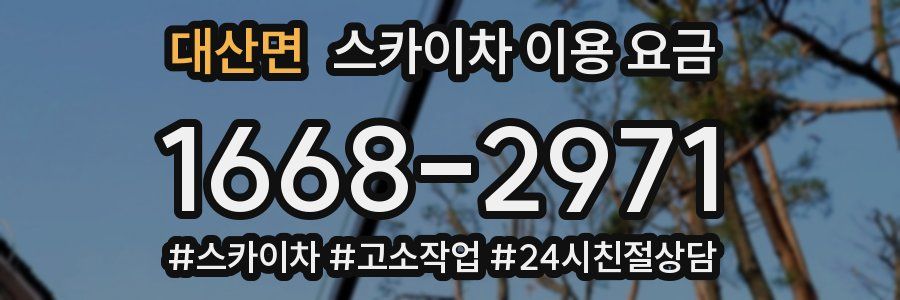 대산면 스카이차 이용 요금