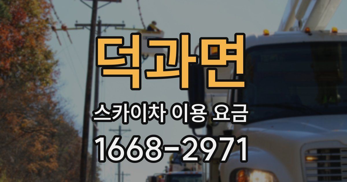 덕과면 스카이차 이용 요금