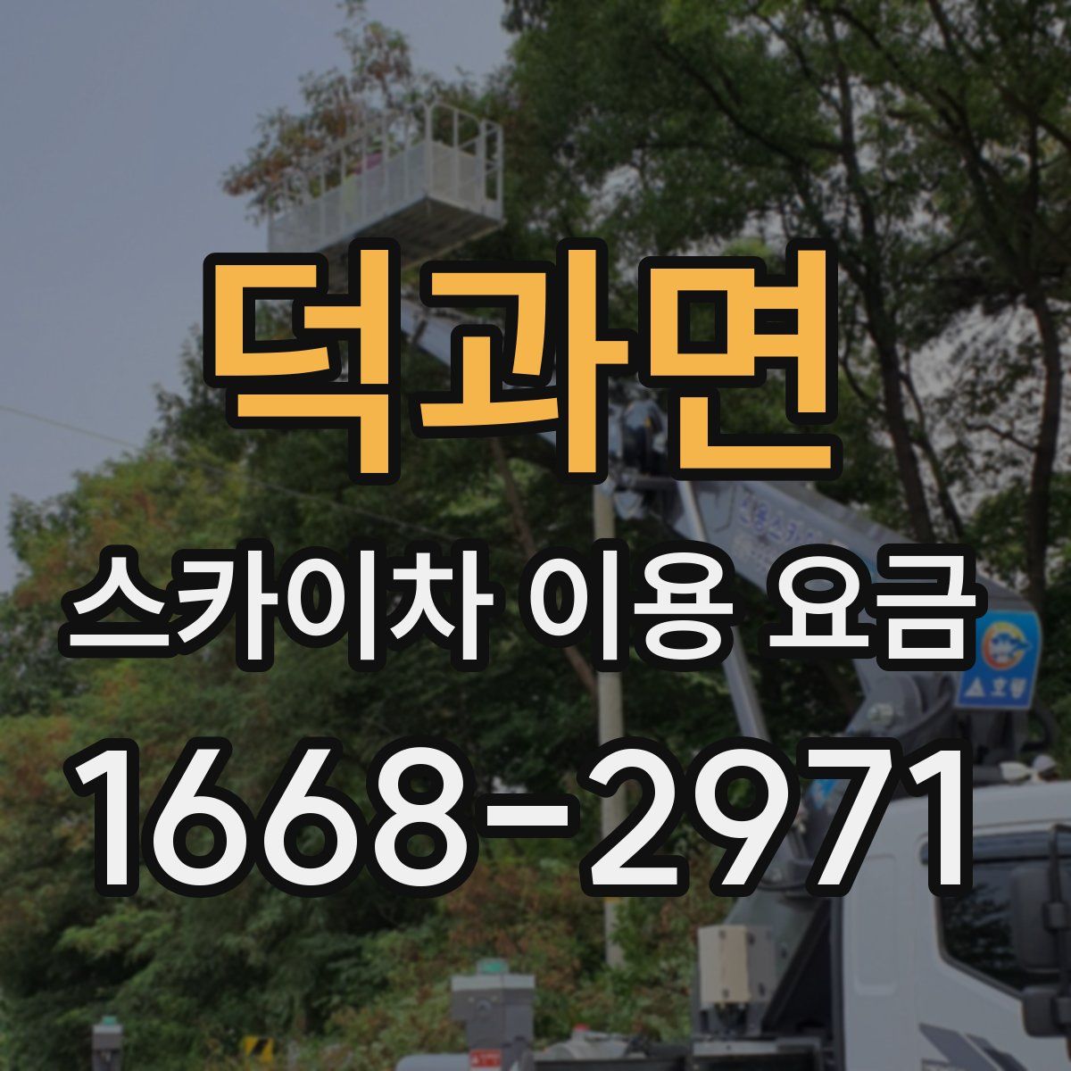 덕과면 스카이차 이용 요금