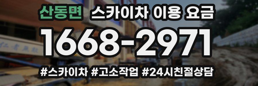 산동면 스카이차 이용 요금