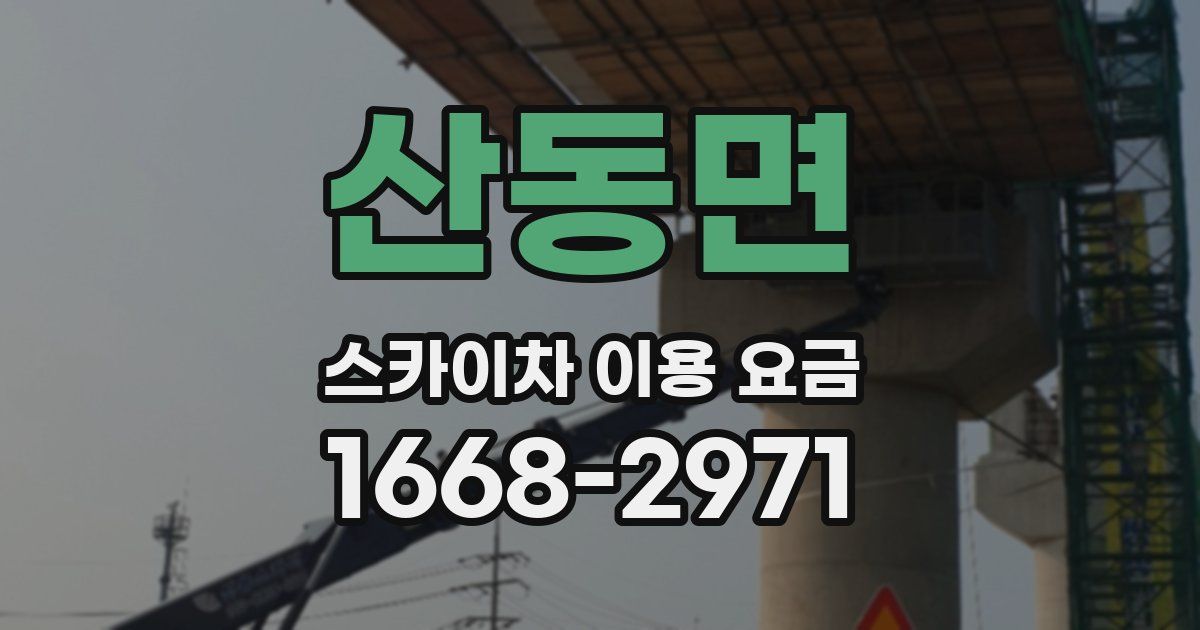 산동면 스카이차 이용 요금