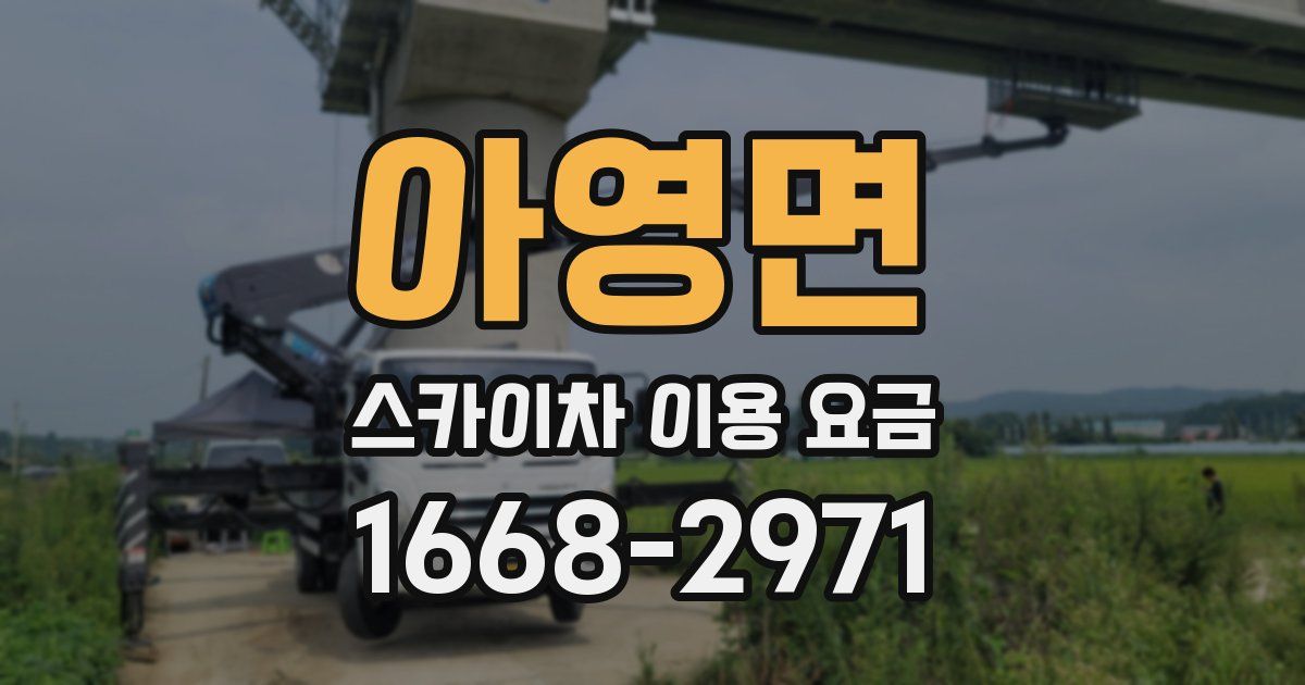 아영면 스카이차 이용 요금