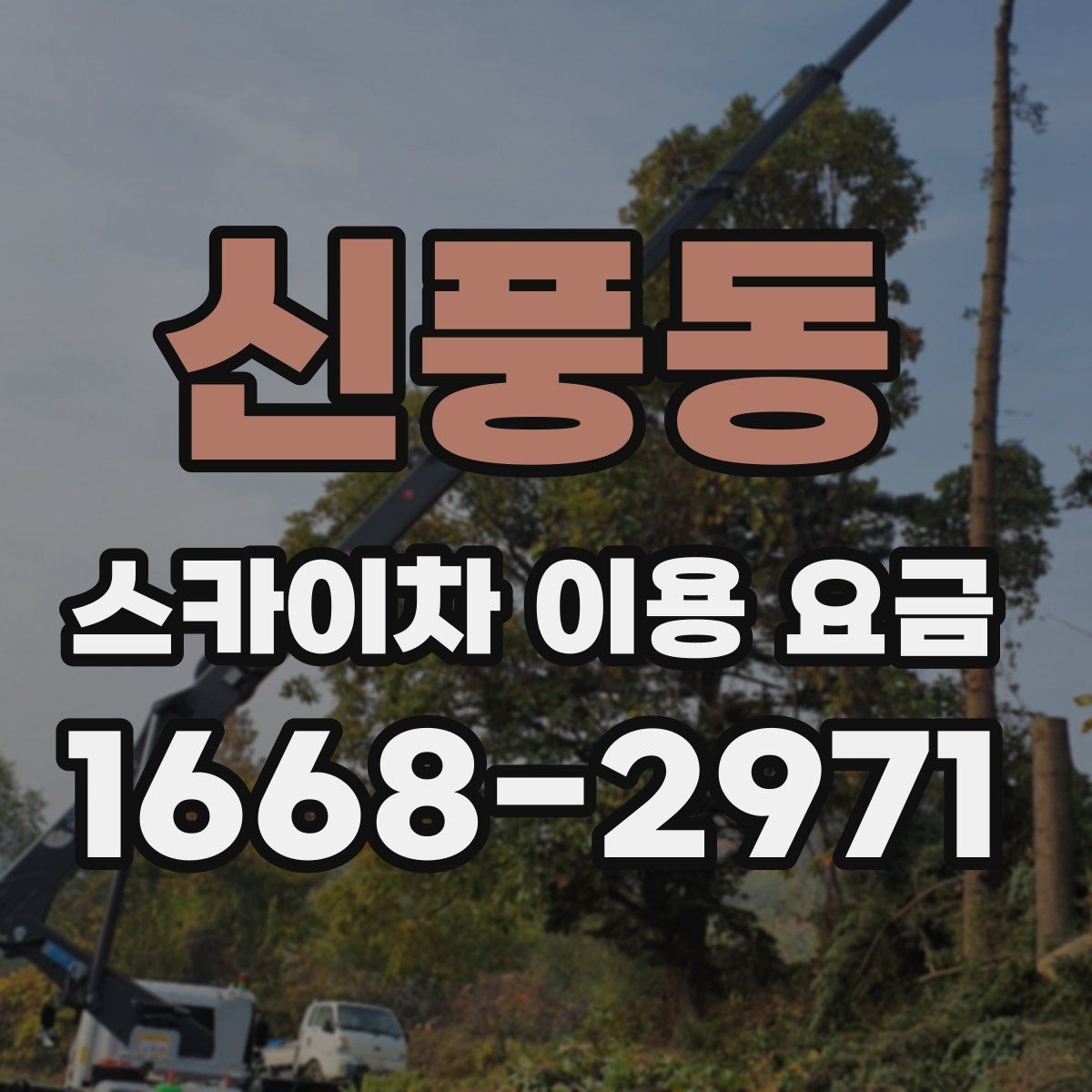 신풍동 스카이차 이용 요금 안내받을 때 함께 물어볼 것