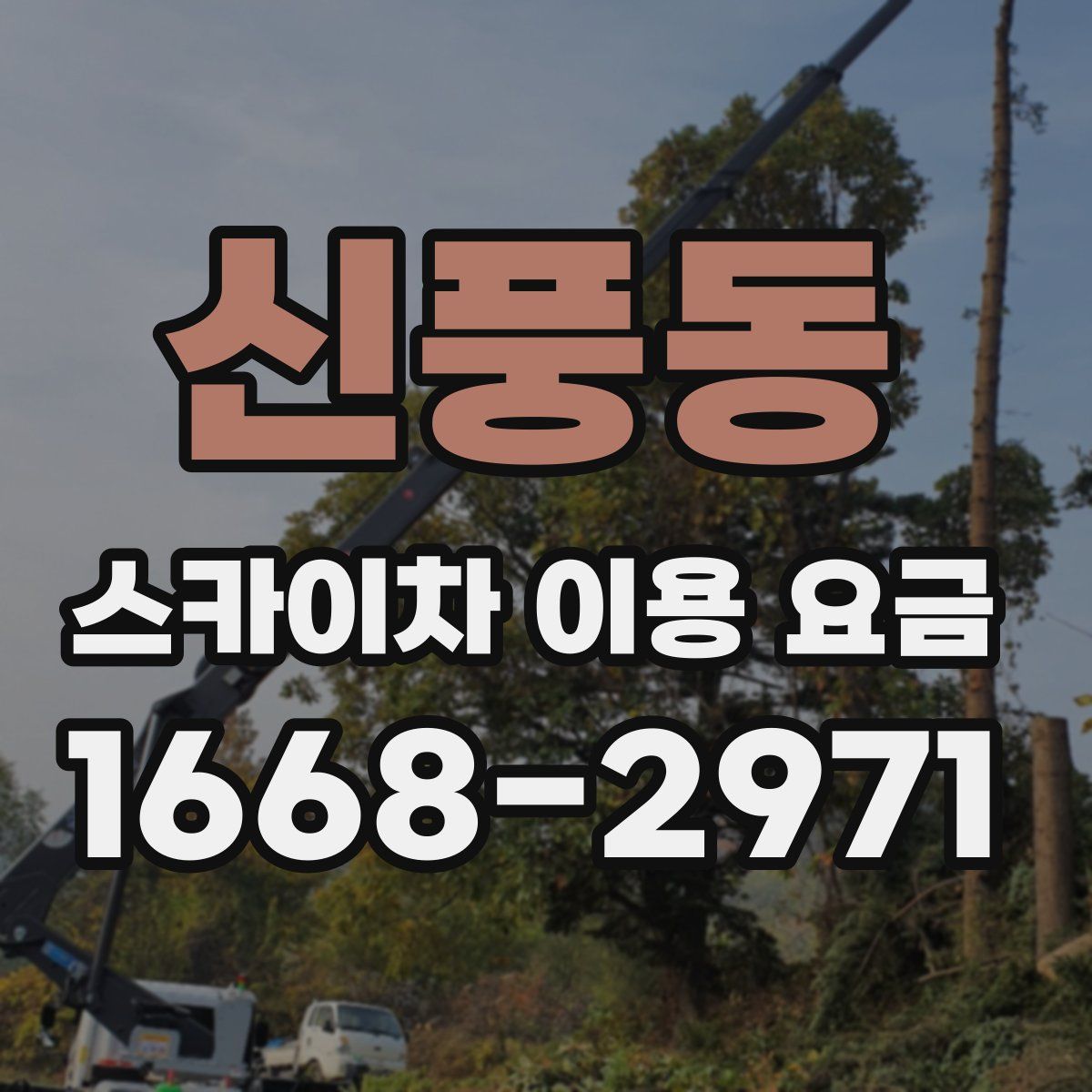 신풍동 스카이차 이용 요금