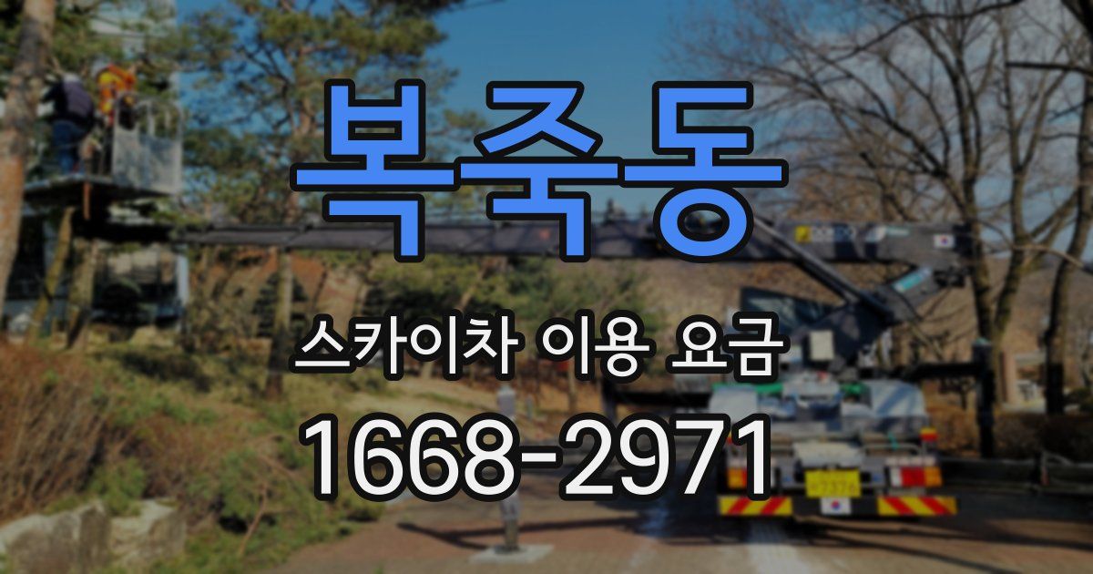 복죽동 스카이차 이용 요금