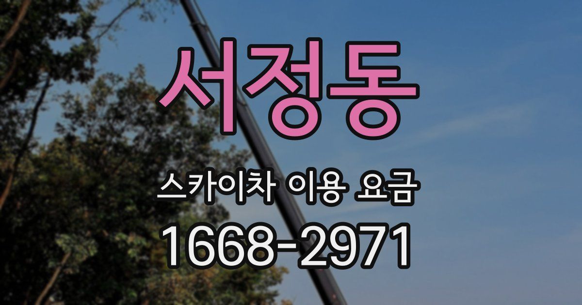 서정동 스카이차 이용 요금