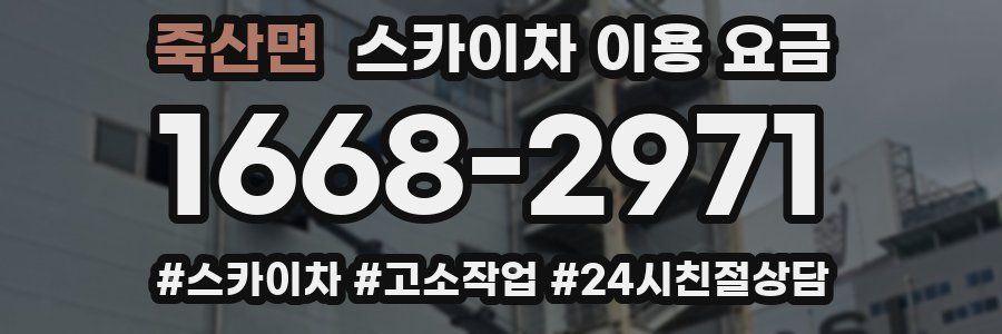 죽산면 스카이차 이용 요금