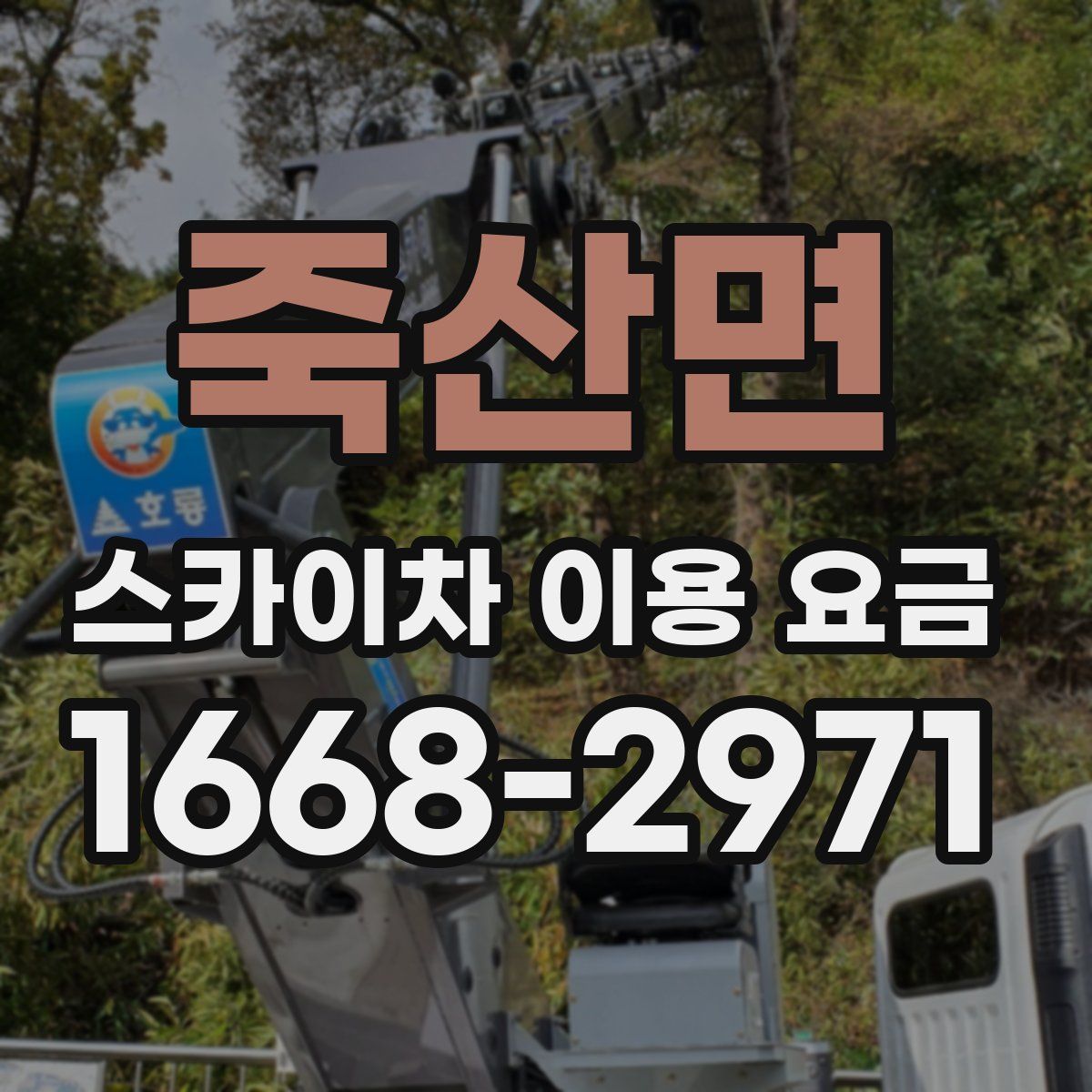 죽산면 스카이차 이용 요금