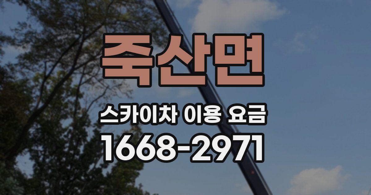 죽산면 스카이차 이용 요금