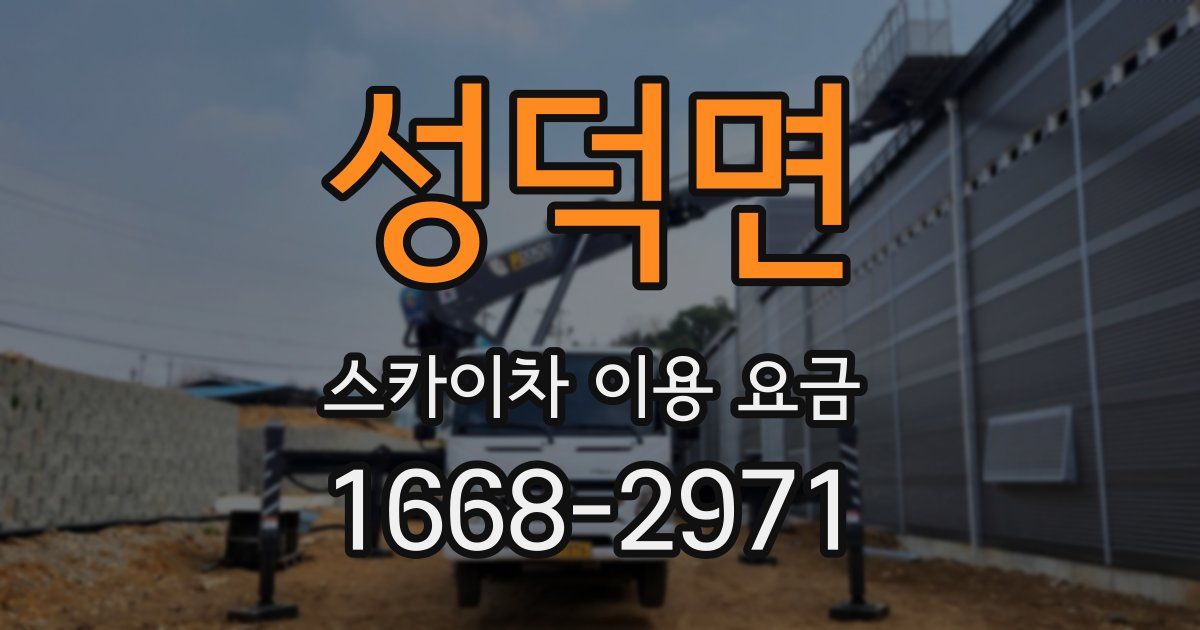 성덕면 스카이차 이용 요금