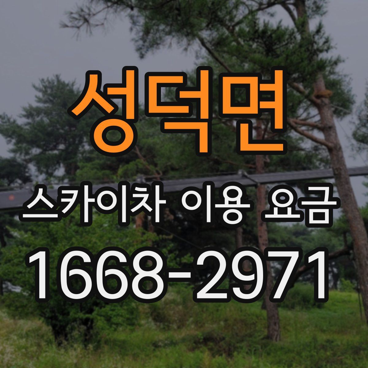성덕면 스카이차 이용 요금