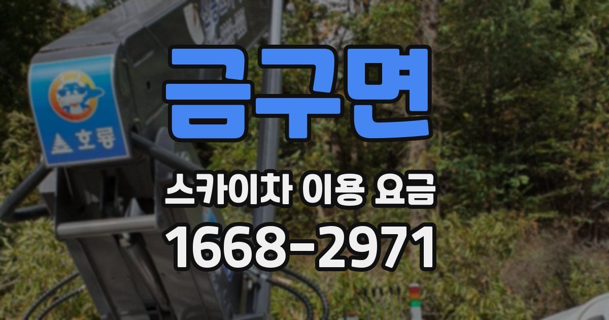 금구면 스카이차 이용 요금