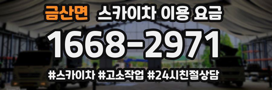 금산면 스카이차 이용 요금