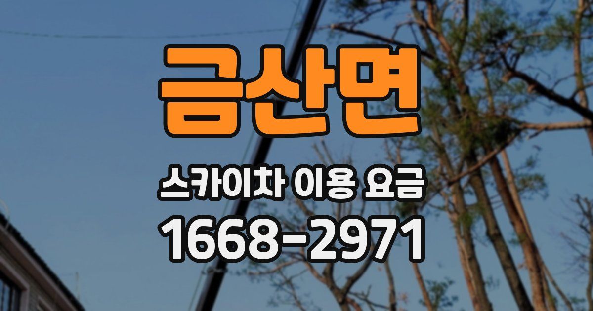 금산면 스카이차 이용 요금