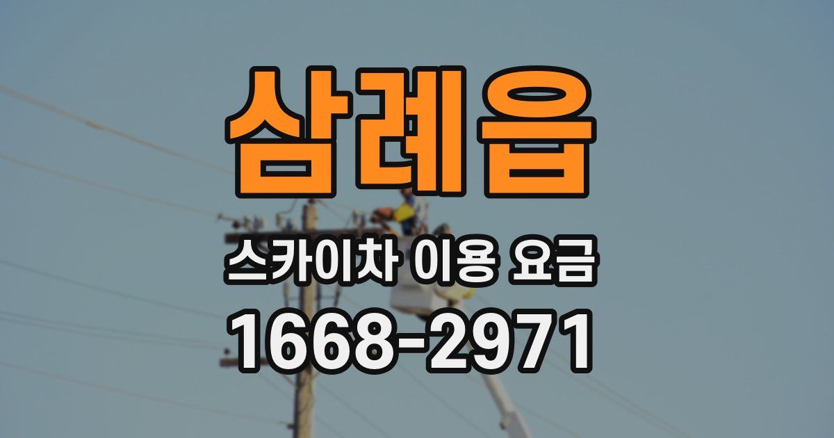 삼례읍 스카이차 이용 요금