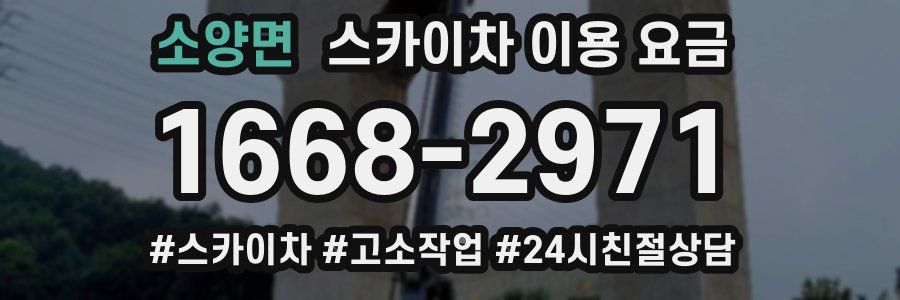 소양면 스카이차 이용 요금