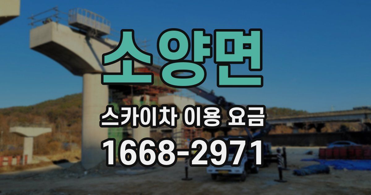 소양면 스카이차 이용 요금