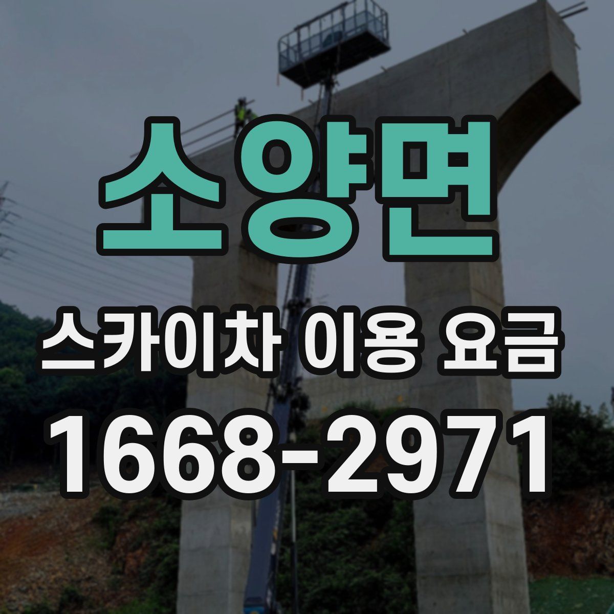 소양면 스카이차 이용 요금