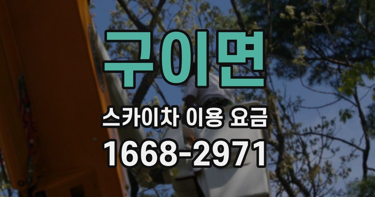 구이면 스카이차 이용 요금