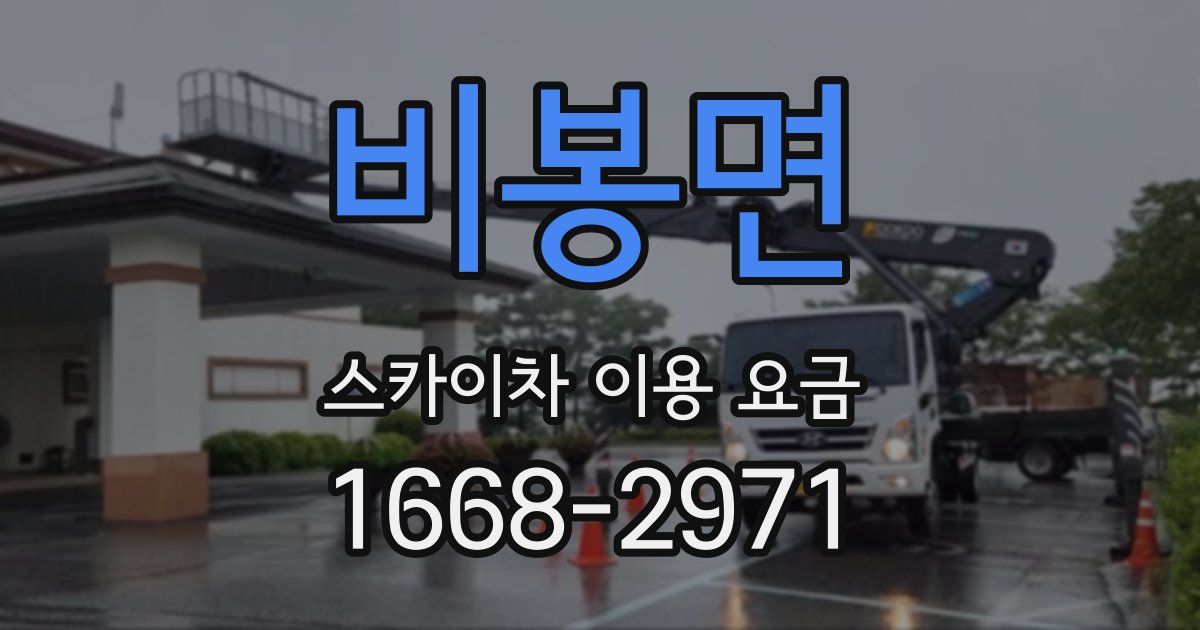 비봉면 스카이차 이용 요금
