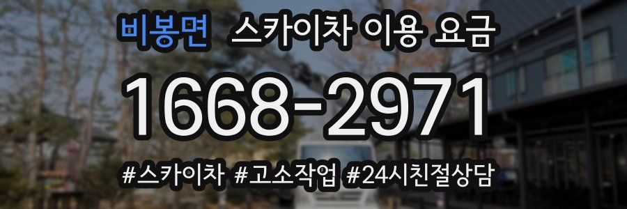 비봉면 스카이차 이용 요금