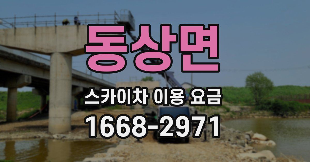 동상면 스카이차 이용 요금