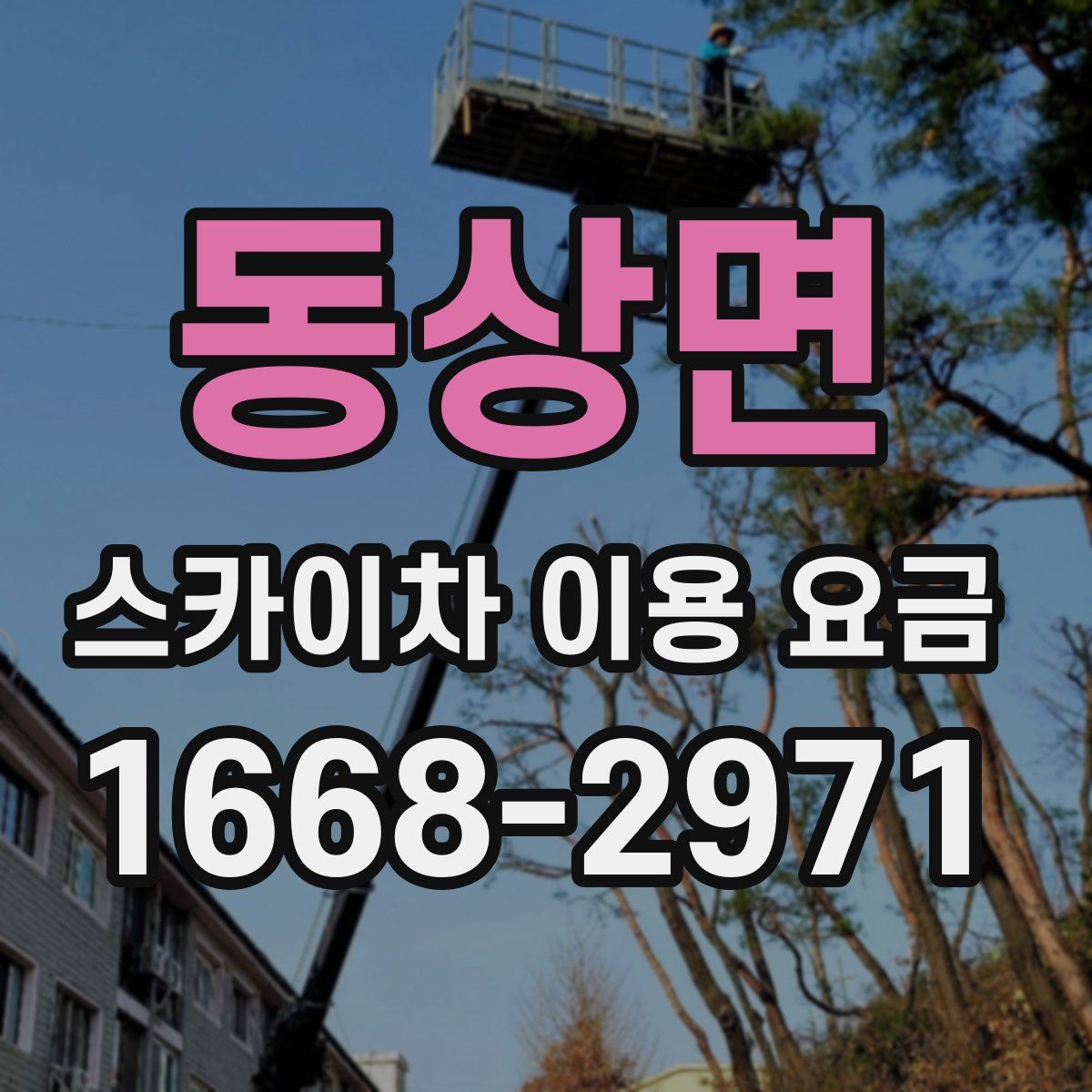 동상면 스카이차 이용 요금