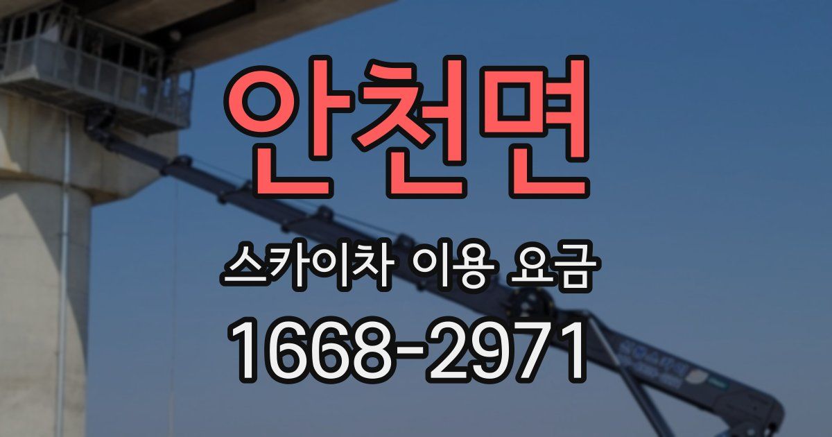 안천면 스카이차 이용 요금