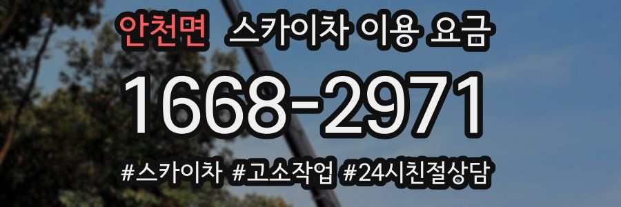 안천면 스카이차 이용 요금