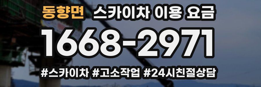 동향면 스카이차 이용 요금