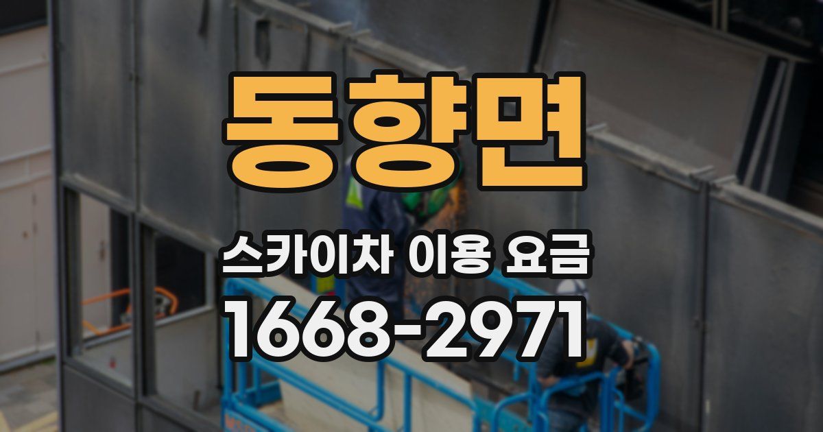 동향면 스카이차 이용 요금