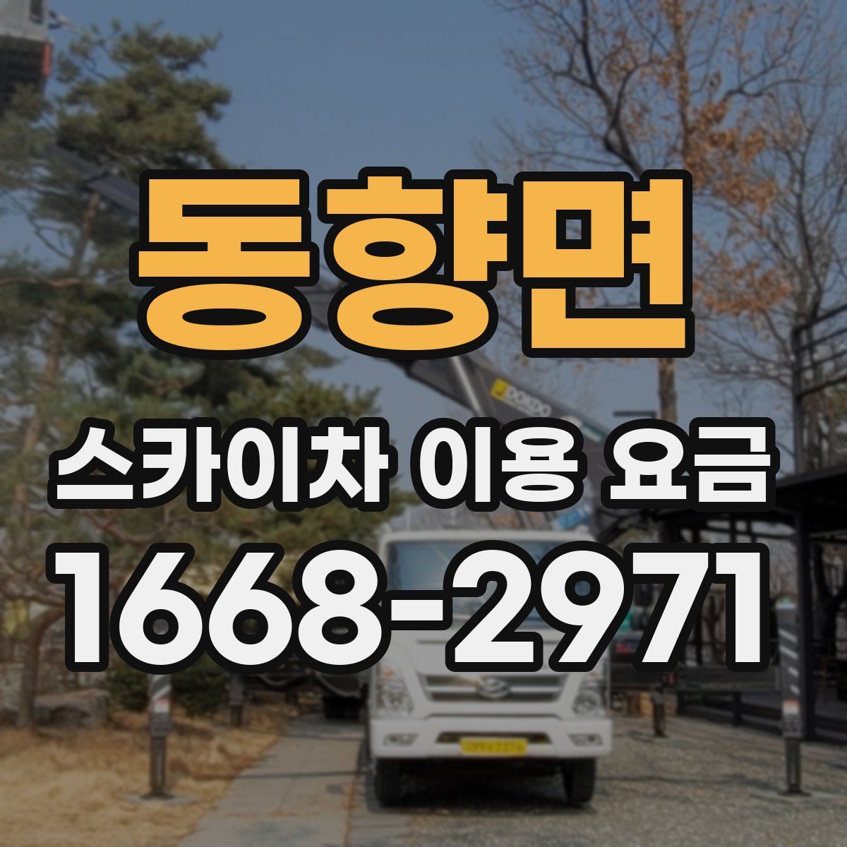 동향면 스카이차 이용 요금
